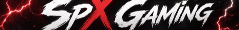 SpX Gaming banner
